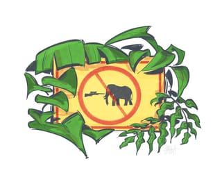 Myanmar's Wild Elephants on the Brink